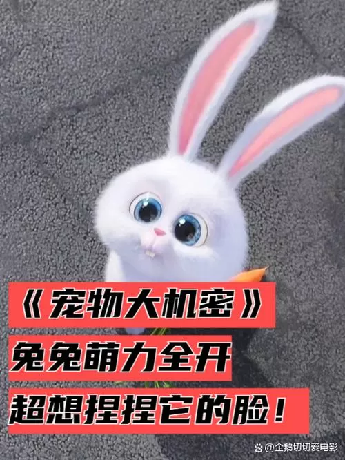 兔兔电影网手机版下载