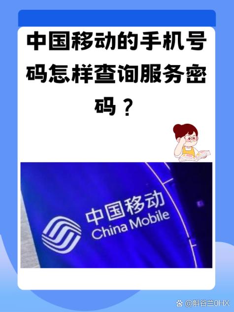 中国移动加速器3元和10元的区别专业版