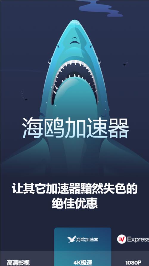 SEAGULL海鸥加速器海鸥加速器破解版永久免费红包版游戏截图
