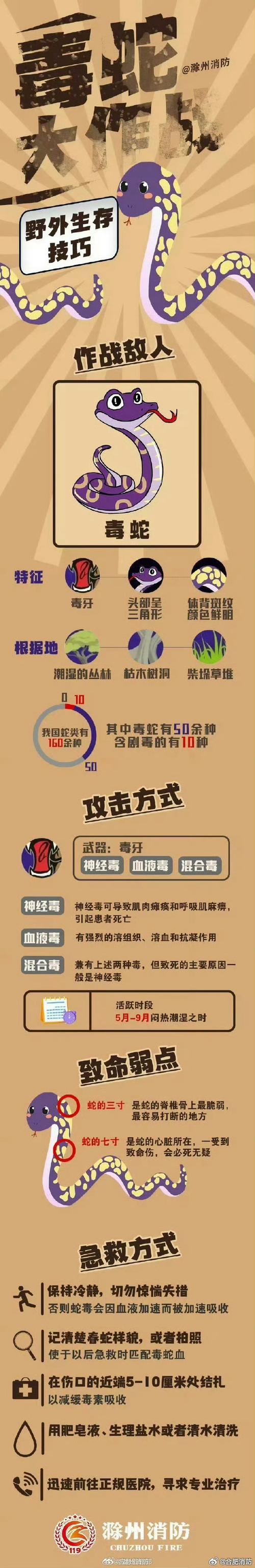 毒蛇加速器官方下载中文最新版免费下载游戏截图