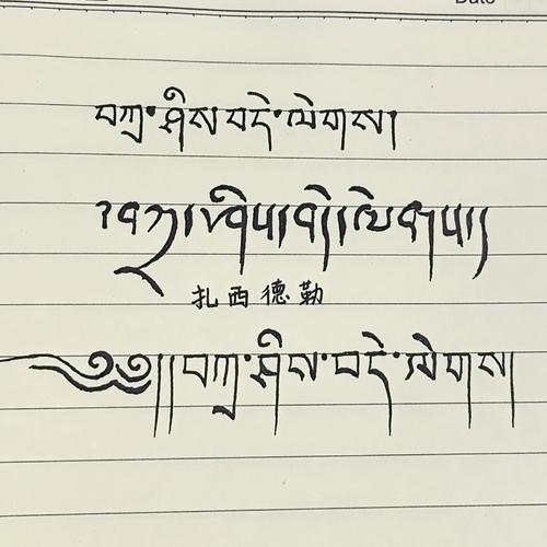 藏文作业一拍秒出答案手机在线观看