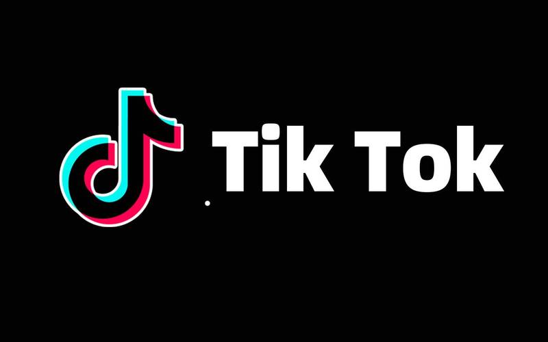 tiktok18破解版永久VIP紫色版游戏截图