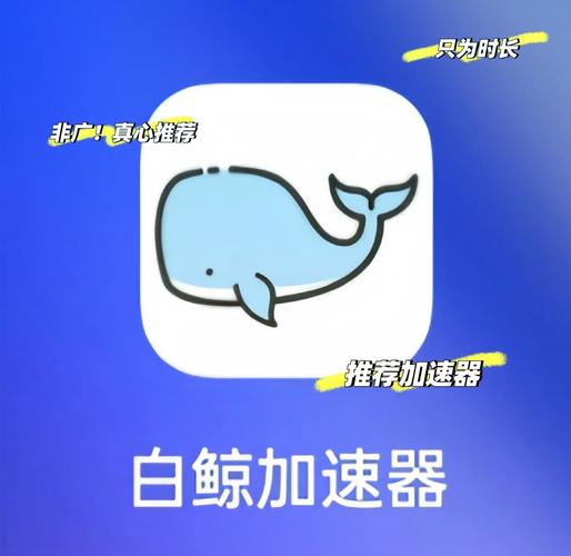 白鲸加速器永久版永久vip测试版游戏截图