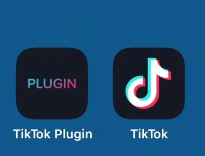 海外tiktok官方入口