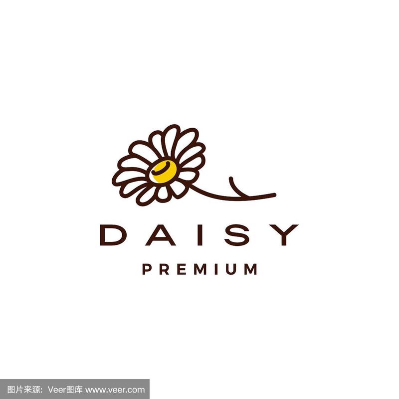 雏菊资讯缩略图