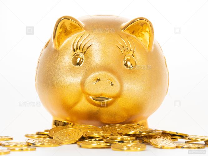 黄金养猪场赚钱版最新版游戏截图