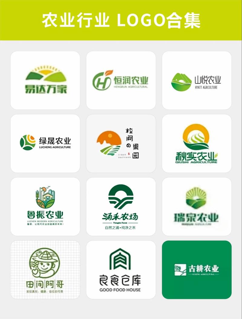 农场种蔬菜最新正版游戏截图