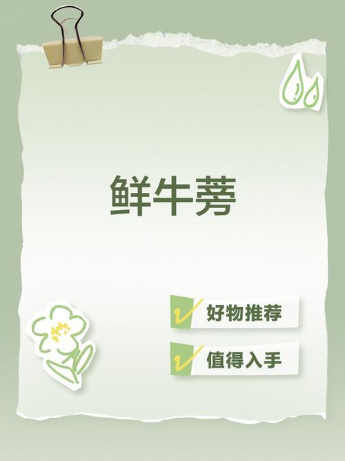 牛蒡任务平台悬赏缩略图