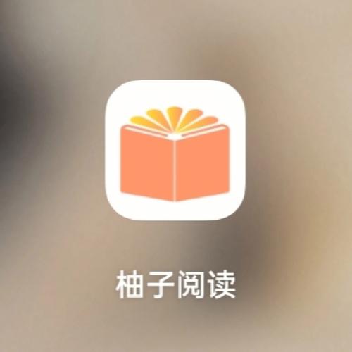 柚子阅读安装直装版游戏截图