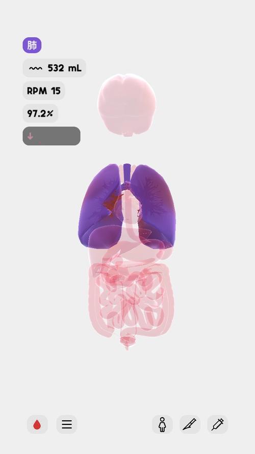 生命life安卓版中文最新版生命life汉化