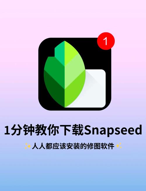 Snapseed中文完整版2024安装