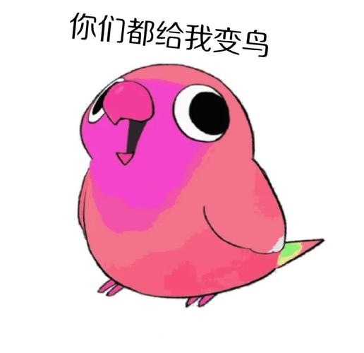 你们都给我变鸟
