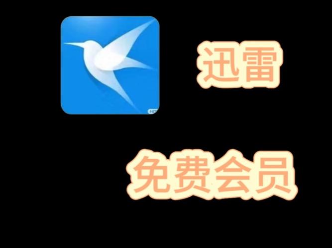 迅雷vip破解版永久免费迅雷vip破解最新版下载2025游戏截图