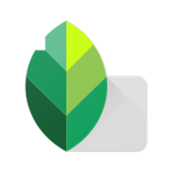 snapseed官方最新版本2025无广告游戏截图