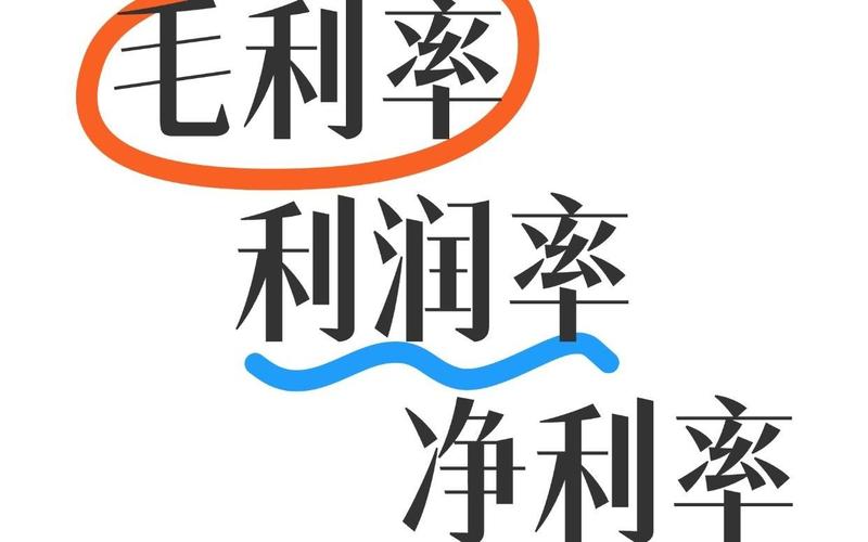毛利率计算战略版游戏截图
