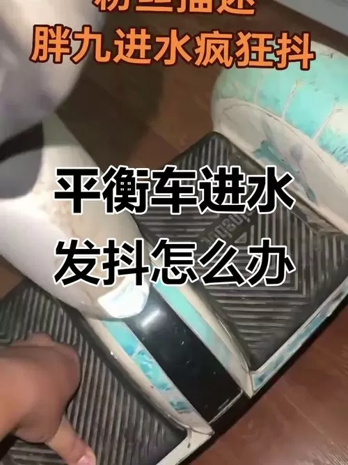 平衡车掉水里了还能修好吗